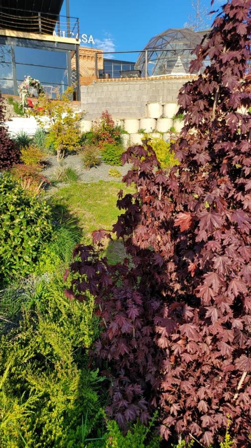 Mi Casa Ξενοδοχείο Σκόπια Εξωτερικό φωτογραφία